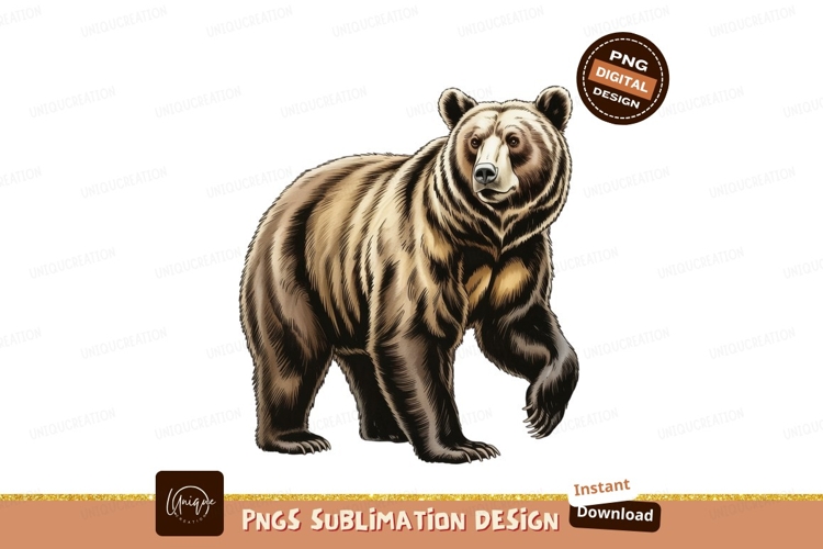 Bear Clipart Image 17