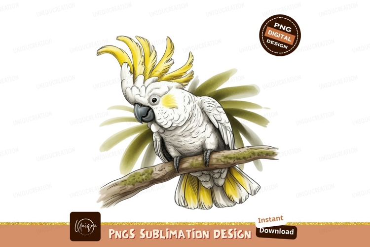 Parrot Png Image 19