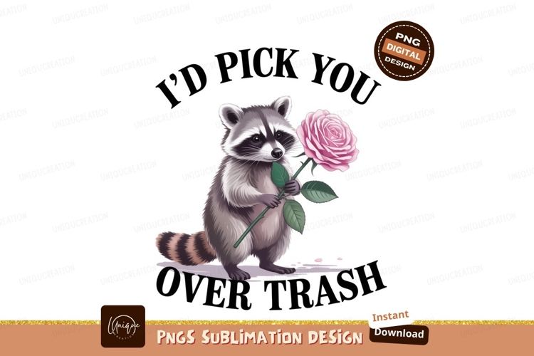 Raccoon Clipart Image 11