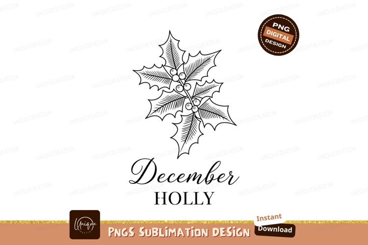 Holly Illustration Image 21