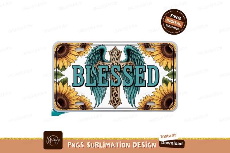 Wings Clipart Image 2