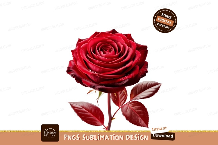 Rose Clipart Image 8