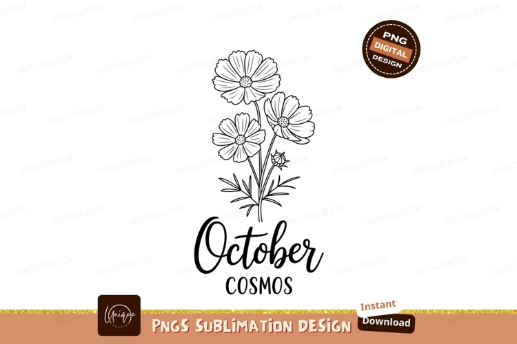 October cosmos floral illustration flowers botanical