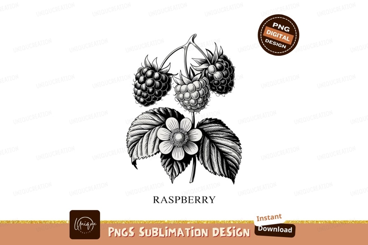 Flower Clipart Image 7
