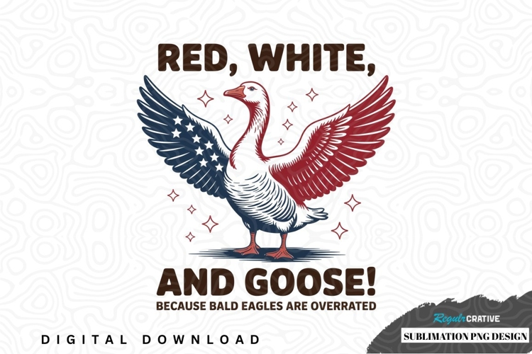 American Eagle PNGs Image 10