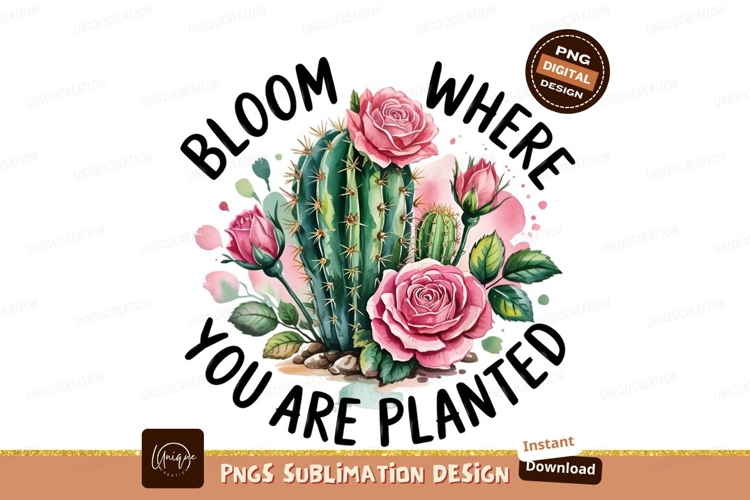 Cactus Clipart Image 15