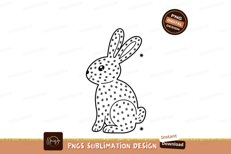 Rabbit Illustration Image 12