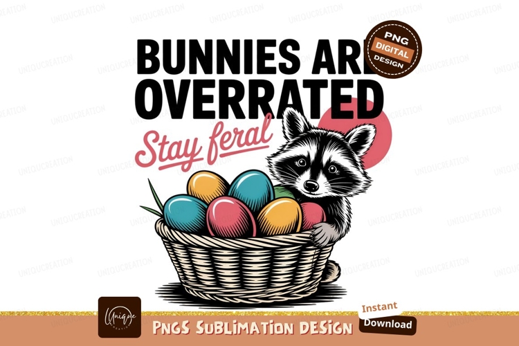 Raccoon Illustration Image 19