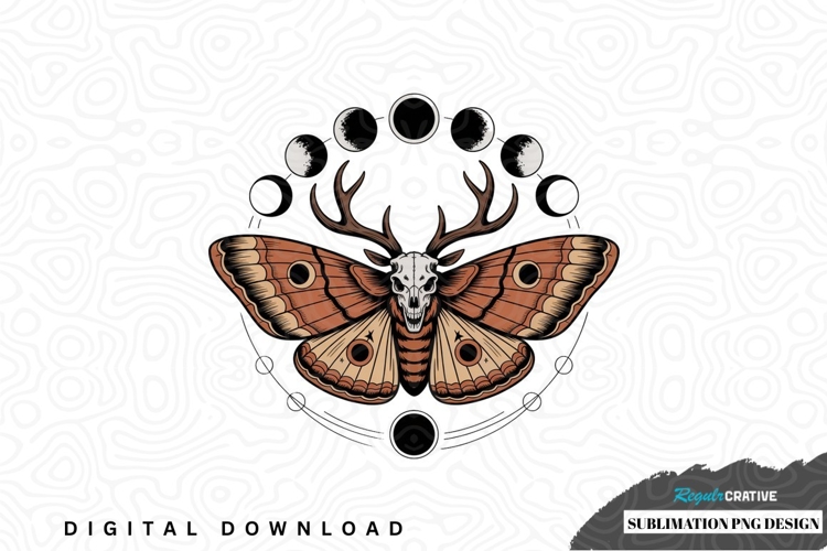 Moth Illustration Image 9