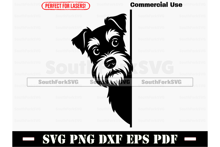 Funny Logo Design Image 23