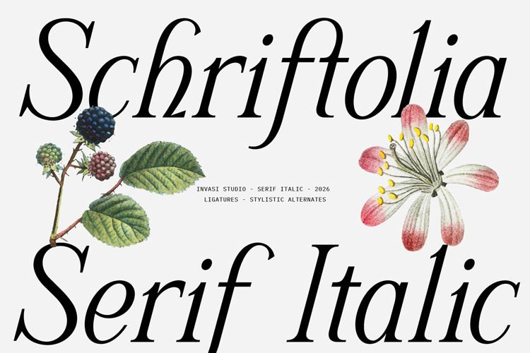 Schriftolia Elegant Serif Italic