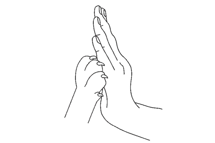 Cat Paw and Human Hand Machine Embroidery Design