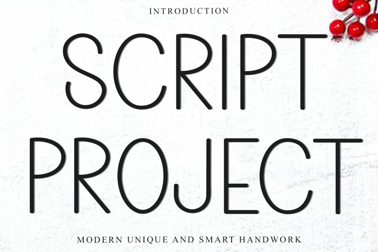Script Project
