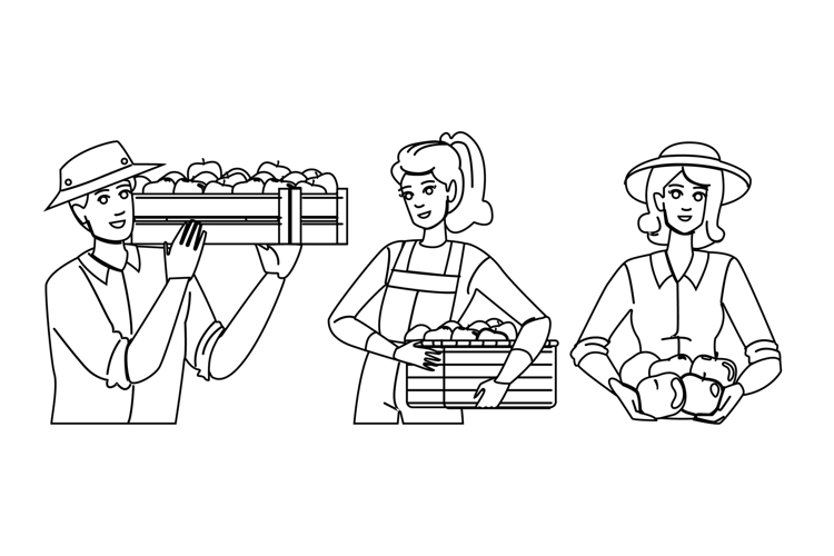 Apple Vector Image 21