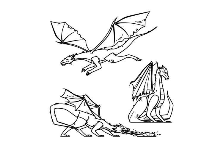 Dragon Vector Image 24