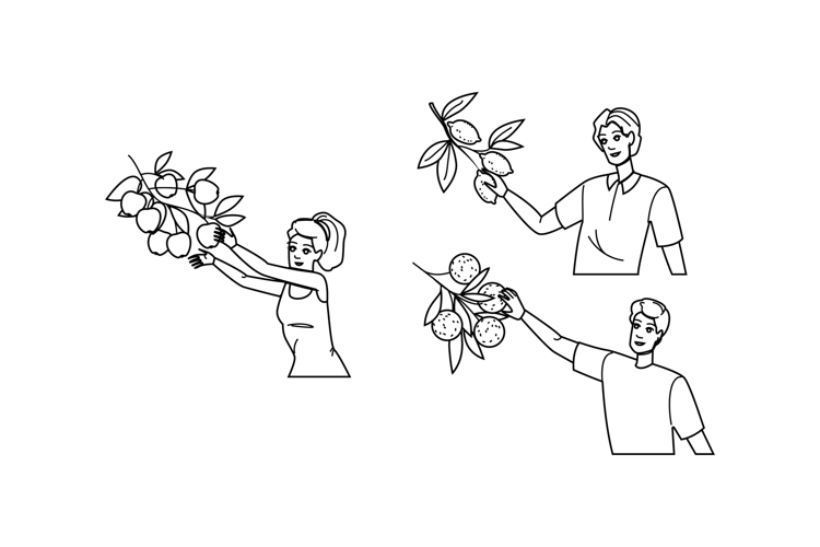 Farm Illustration Image 15