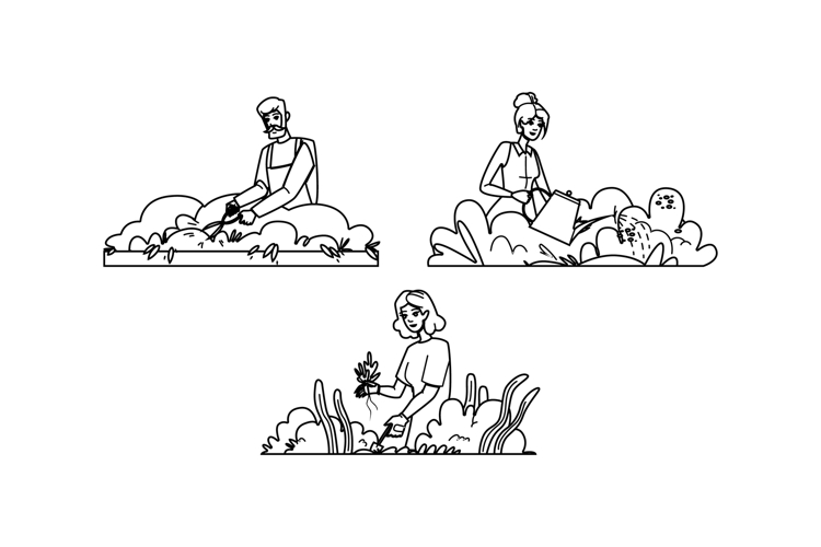 Gardening Illustration Image 9