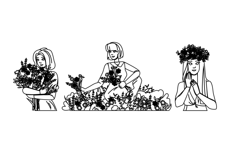 Nature Illustration Image 15