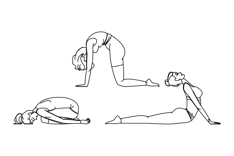 pranayama yoga exercises vector