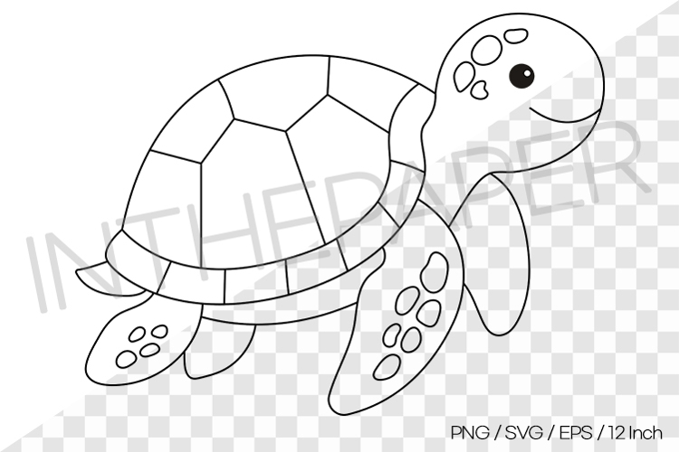 Turtle Drawing