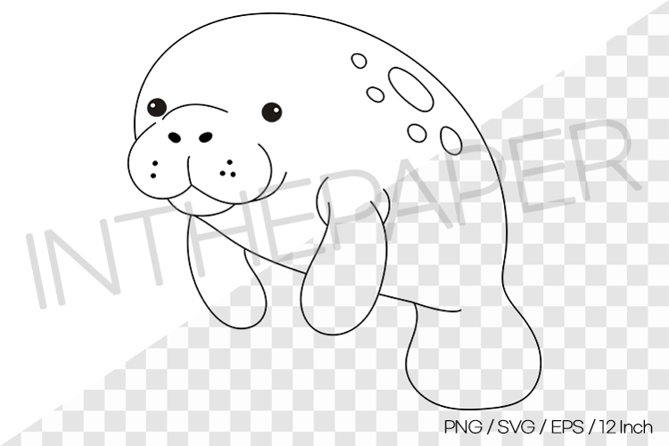 Manatee Outline Coloring Page Clipart SVG EPS PNG Sea Animal