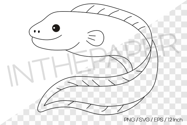 Moray Eel Outline Coloring Page Clipart SVG EPS PNG Animal
