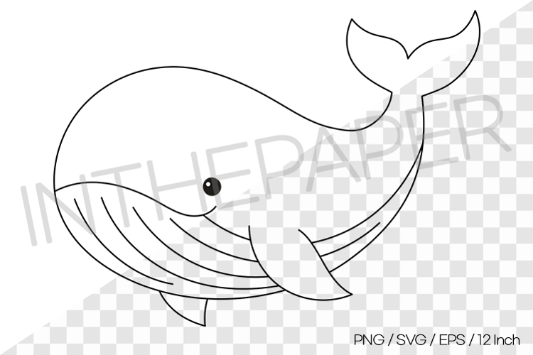 Whale Outline Coloring Page Clipart SVG EPS PNG Sea Animal