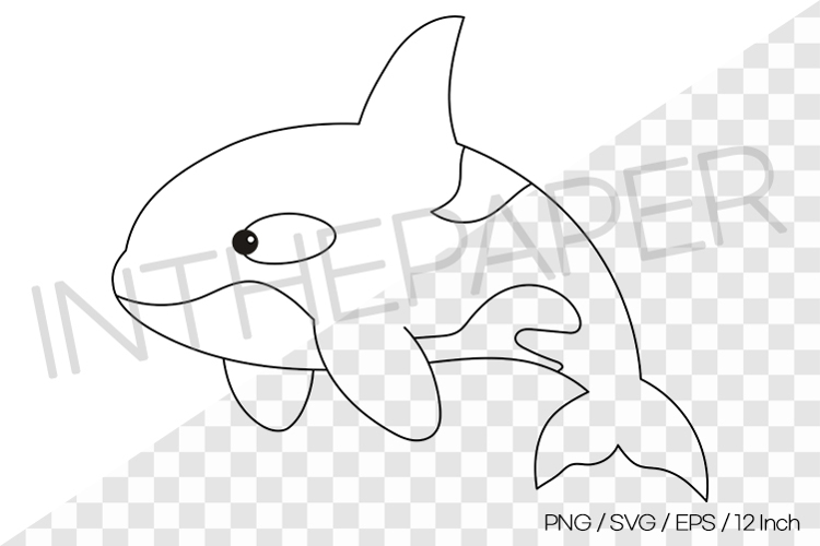 Orca Outline Coloring Page Clipart SVG EPS PNG Sea Animal