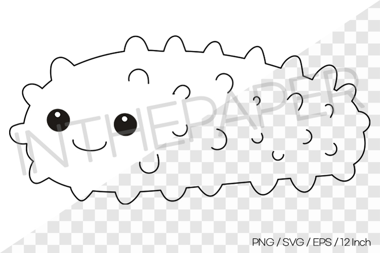 Sea Cucumber Outline Coloring Clipart SVG EPS PNG Animal