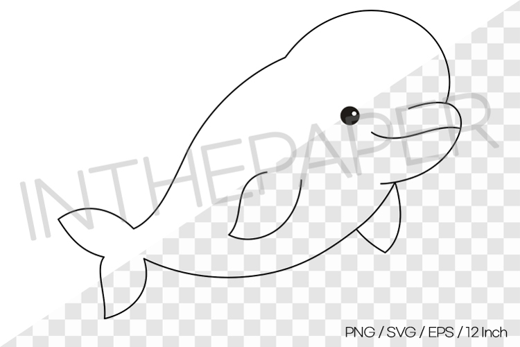 Beluga Outline Coloring Page Clipart SVG EPS PNG Sea Animal