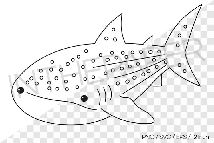 Humpback Whale Outline Coloring Page Clipart SVG EPS PNG Sea