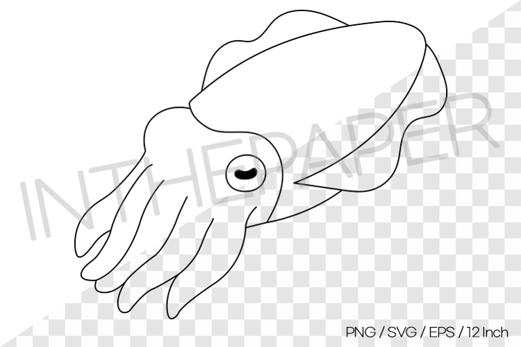 Cuttlefish Outline Coloring Page Clipart SVG EPS PNG Animal