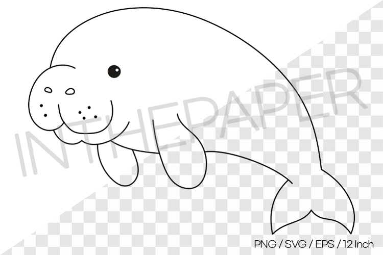 Dugong Outline Coloring Page Clipart SVG EPS PNG Sea Animal