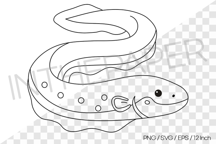 Electric Eel Outline Coloring Page Clipart SVG EPS PNG Sea