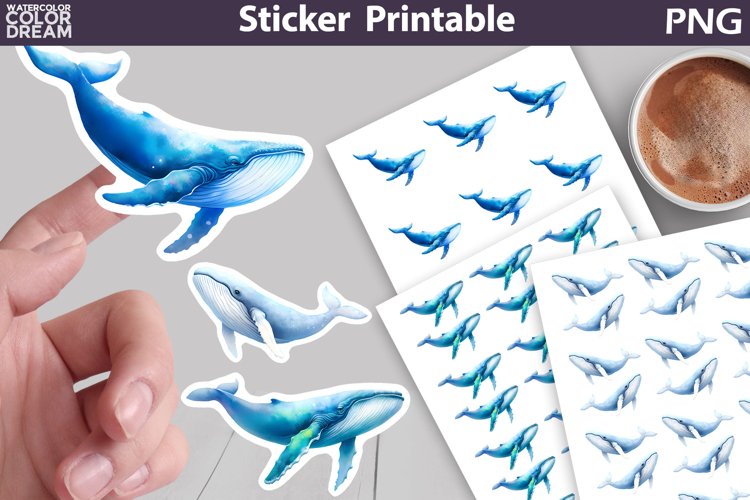 Whale Clipart Image 4