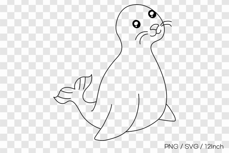 Marine sea lion mammal playful water seal PNG animal clipart