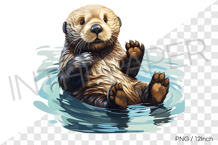 Sea Otter Clipart Image 16