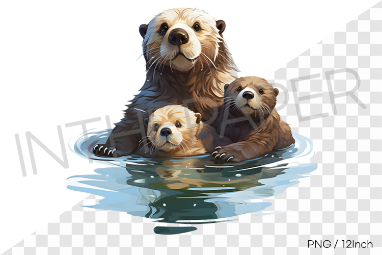 Mother sea otter gathering two pups close PNG clipart marine