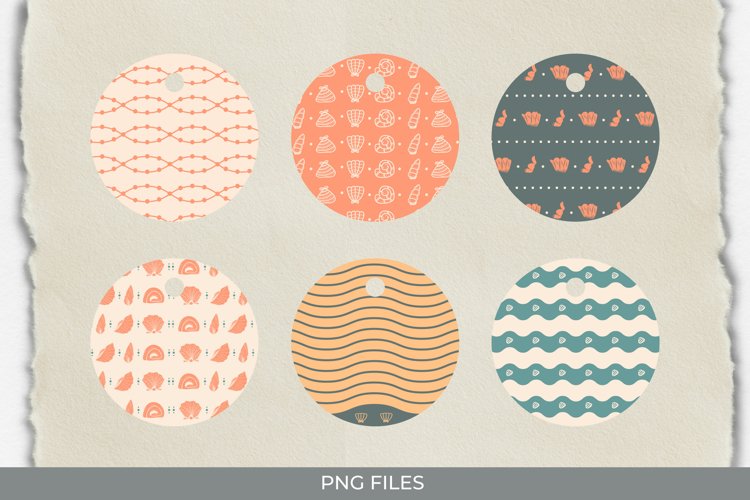 Shell Png Image 20