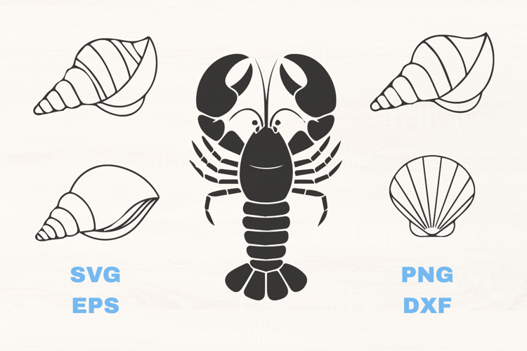 Lobster and Seashells SVG collection