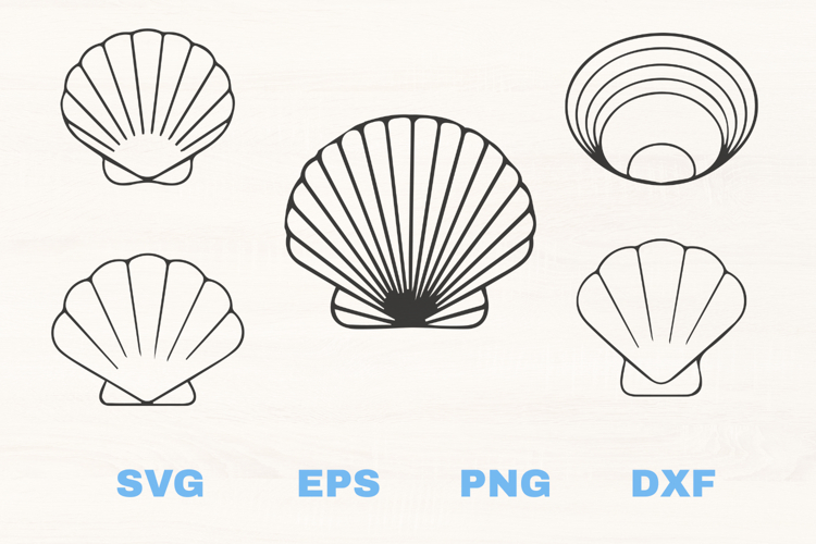 Seashells SVG collection
