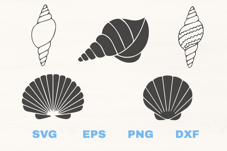 Seashells black SVG collection