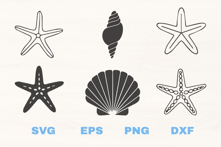 Seashells and Starfish SVG collection