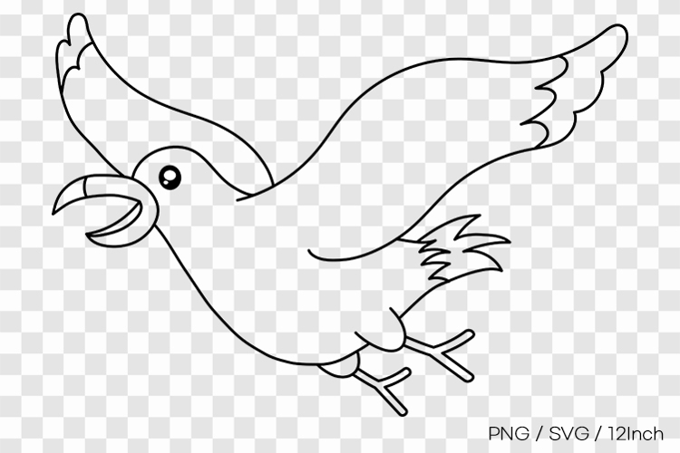 Flying ocean beach seagull bird wide wings PNG animal illust