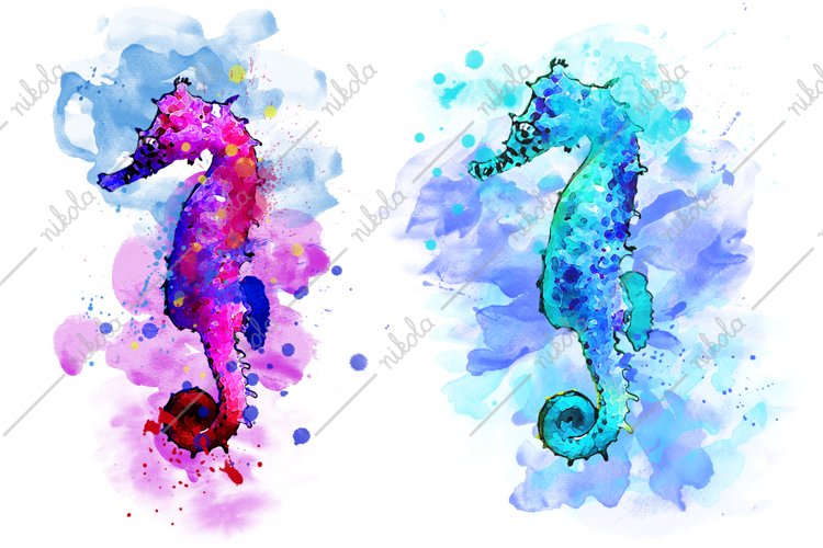 Sea Horse Clipart Image 12