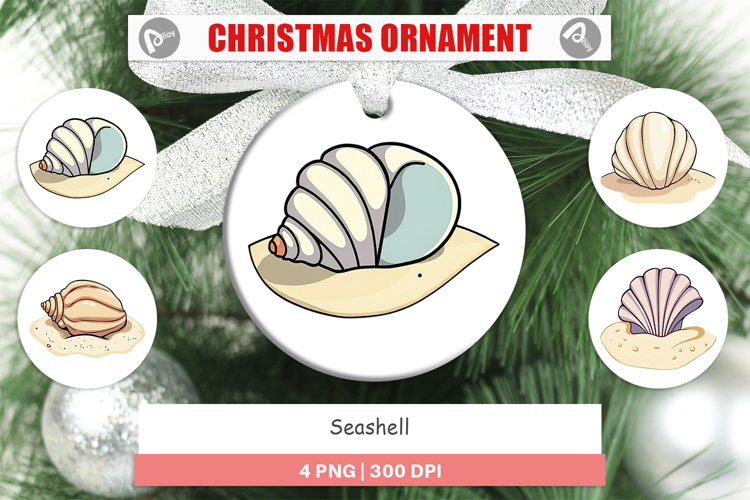 Ornament Seashell