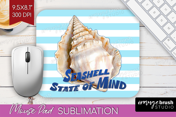 Seashell PNG Image 14