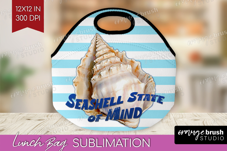 Seashell PNG Image 13