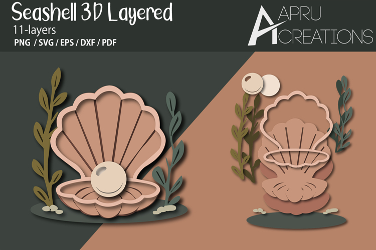 3D Layered Seashell