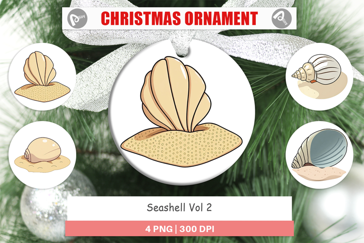 Ornament Seashell